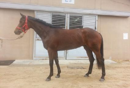 �̽������� ����