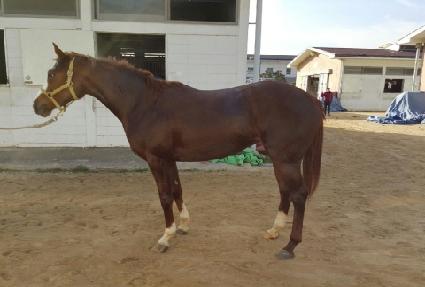 �̽����� ����