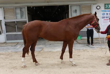 �����Ǹ��� ����