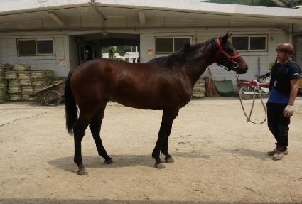 �ְ������� ����