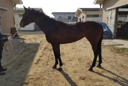 ���丮����Ʈ ����