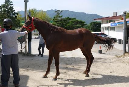 ���ۺ��� ����