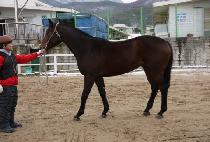 �ŵ�� (SYNDROME) ����