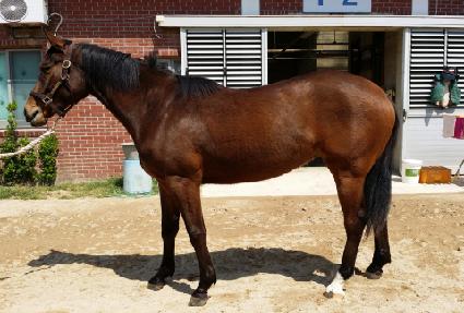 ��� ����