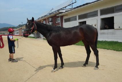 ���ȭ�� ����