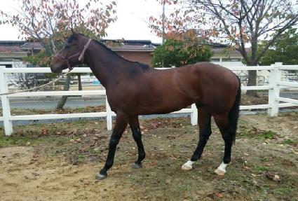 �������ǳ ����