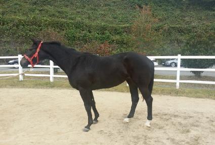 ������ȭ�� ����