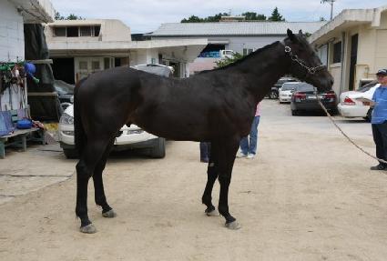 �����ǿ�ȥ ����