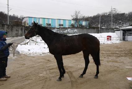 ����� ����