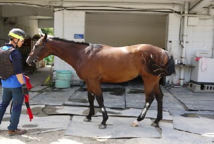 ��Ű���� ����