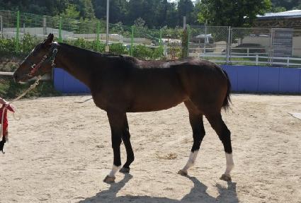 �ݼ�ȭ ����