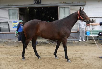 �ݼ� ����