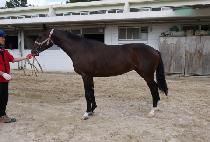 �������� (SUMEUN YEONGUNG) ����