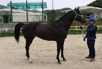 õ��ȣ�� (CHEONNYEONHORYEONG) ����