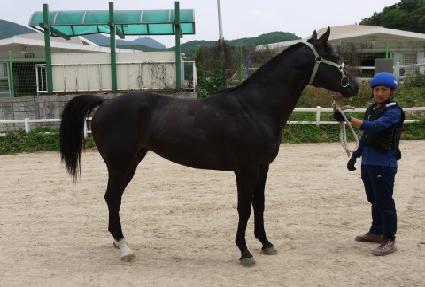 õ��ȣ�� ����