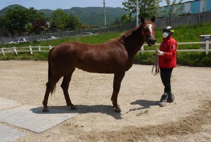 ���� ����