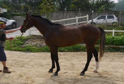 �˷� ����