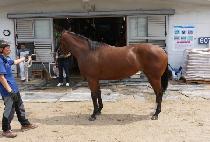 ��������� (BRAVO JINSEONMI) ����