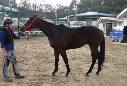 �ο��帲 ����