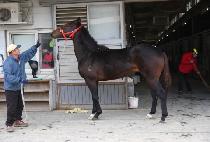 �帲��Ƽ (DREAM CITY) ����