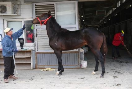 �帲��Ƽ ����