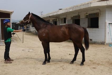 ������ ����