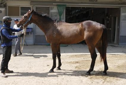 ��Ƽ��Ÿ ����