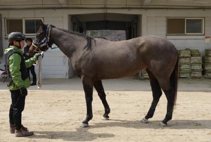 �־��������� ����