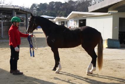 ��Ծ��� ����