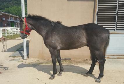 ���Ǹ� ����