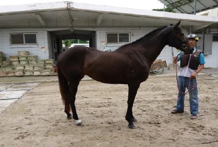 ����� ����