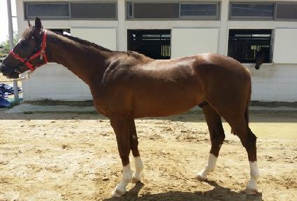 ������ ����