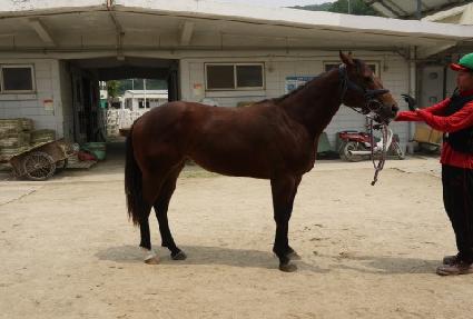 ���Ϸι��� ����