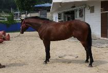 Ʈ����Ʈ�� (TRUST ME) ����