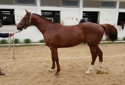 ���̽��� ����