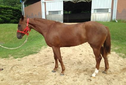 ä����Ƽ ����