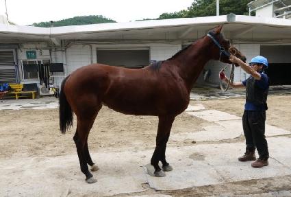 �κ�è�� ����