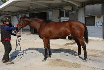 ����Ÿ�� (PICO TIME) ����