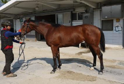 ����Ÿ�� ����