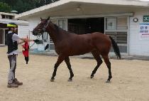 �ݰ (GEUMGOKSEONG) ����