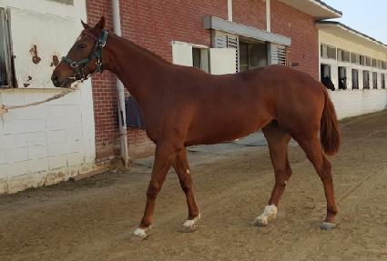 ���帲 ����