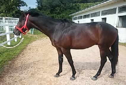 ���ϵ�İ ����