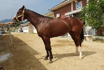 ���̴׿�� (SHINING WOMAN) ����