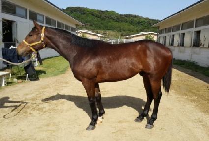 ���ֻ꼺 ����