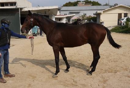 ����������Ʈ ����