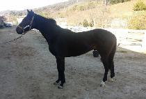 �������� (EUNGNIBYEOSU) ����