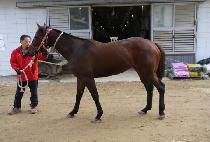 Ȳ������ (HWANGGEUM JUPA) ����