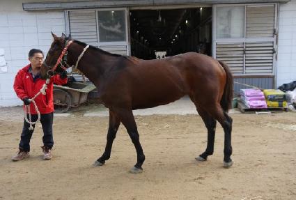 Ȳ������ ����