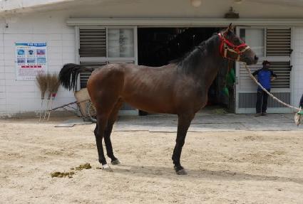 ��ȭ�� ����