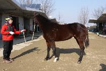 �׷������ (GRAND MAGIC) ����